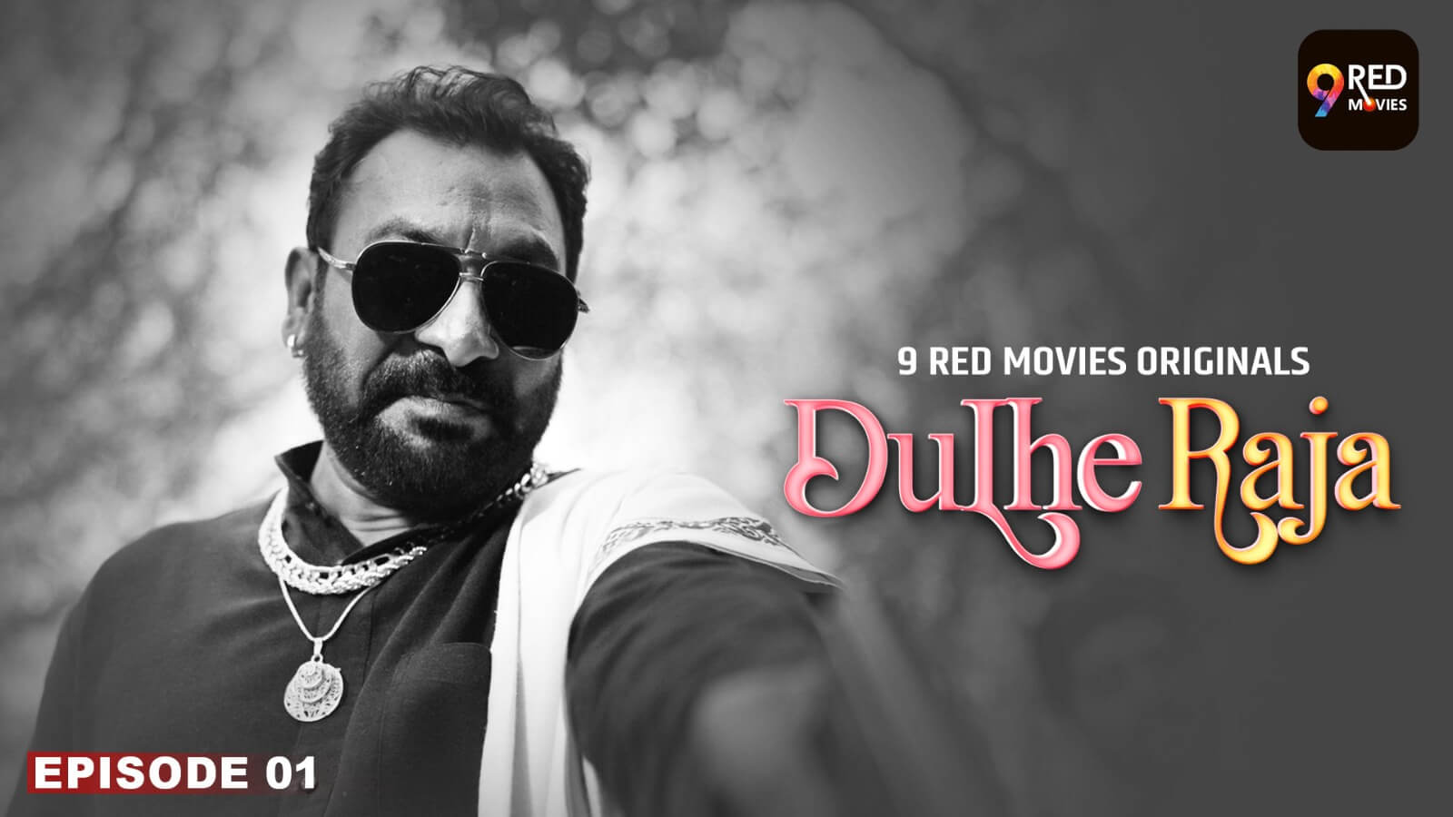 owl-carousel-video-image