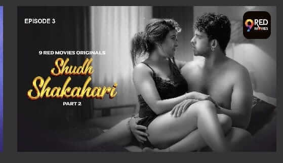 owl-carousel-video-image