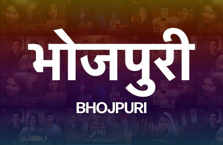 owl-carousel-video-image