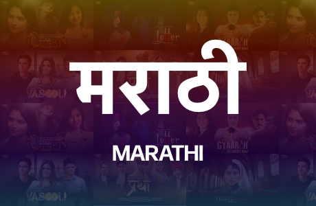 owl-carousel-video-image