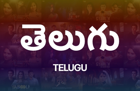 owl-carousel-video-image